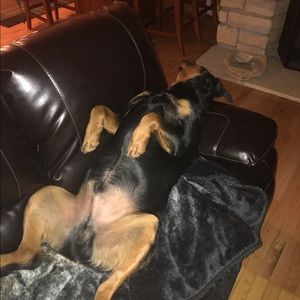 Meet your Posher, Heidi